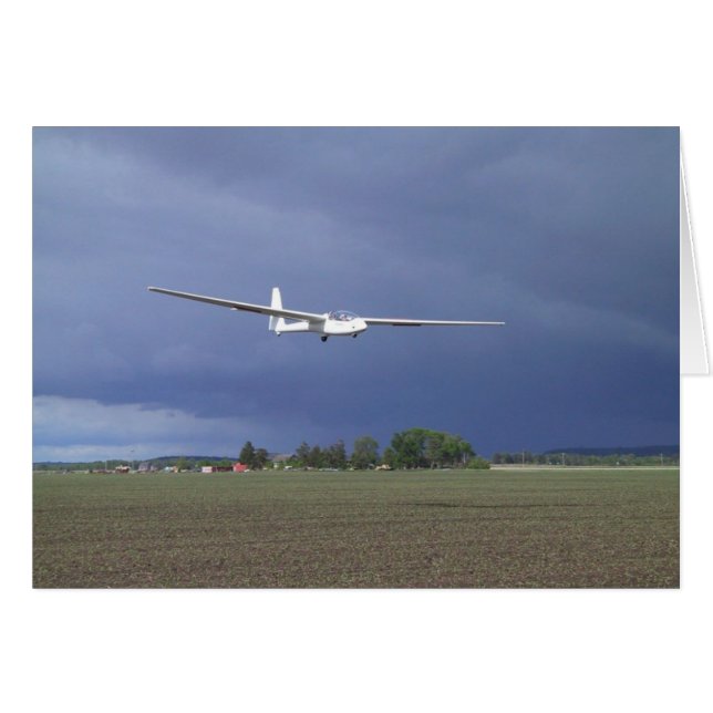 最終のフクロウ (正面横)