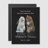 最終日の保存 (正面/裏面)