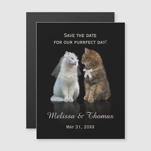 最終日の保存 (正面/裏面)