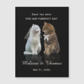 最終日の保存 (正面)