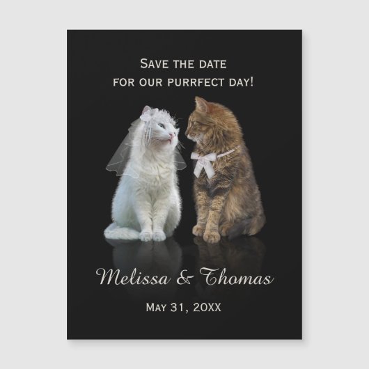 最終日の保存 (正面)