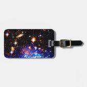 最終的なフロンティア ラゲッジタグ (正面横)