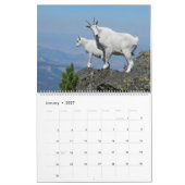 最終的なヤギのカレンダー カレンダー (1月 2027)