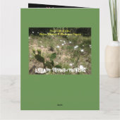 最終的な自由の卒業カードへの道 カード (裏面)