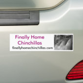 最終的に家のチンチラ、唐辛子 バンパーステッカー (車上)