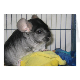 最終的に家カード、WubbzyおよびWubbzyの彼の人形