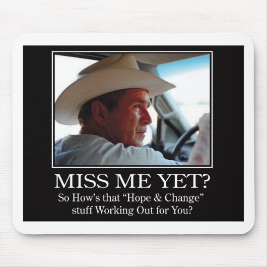 最終的ブッシュHAT.Miss Meai マウスパッド (正面)