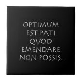 最適なest pati quod emendare non possis タイル (正面)