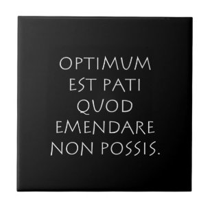最適なest pati quod emendare non possis タイル