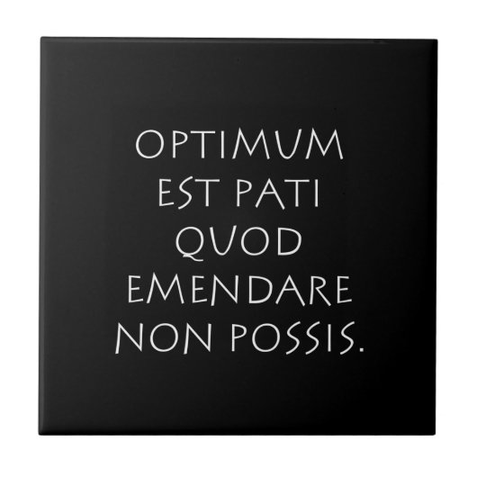 最適なest pati quod emendare non possis タイル (正面)