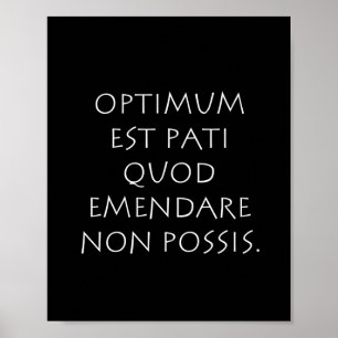 最適なest pati quod emendare non possis ポスター