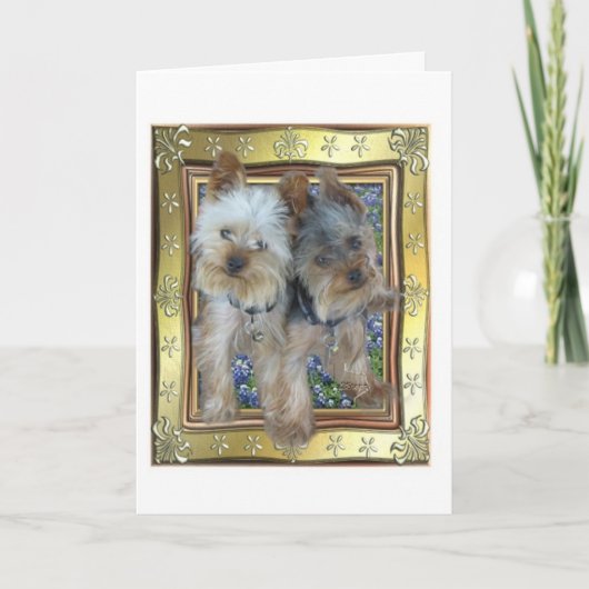 最高およびZachカード カード (正面)