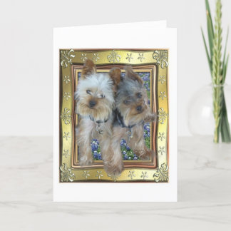 最高およびZachカード カード