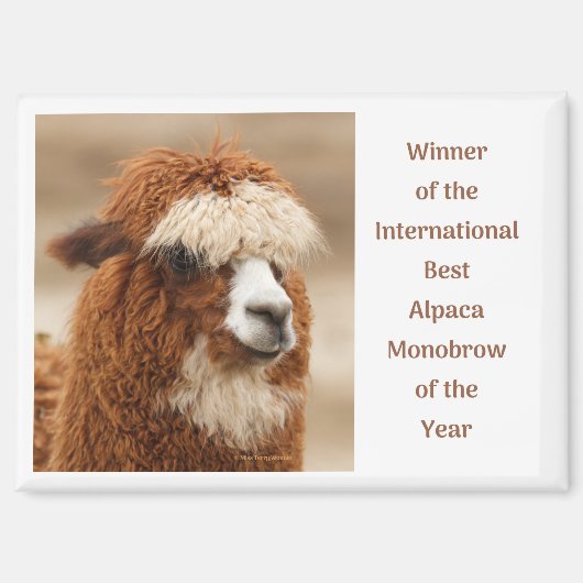 最高にカワイイアルパカの太い一本眉 マグネット (正面)