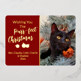 最高のクリスマスの猫の写真を願って 箔シーズンカード