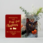 最高のクリスマスの猫の写真を願って 箔シーズンカード (立ち正面)