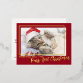 最高のクリスマスを願って 2 写真 箔シーズンポストカード (正面/裏面)