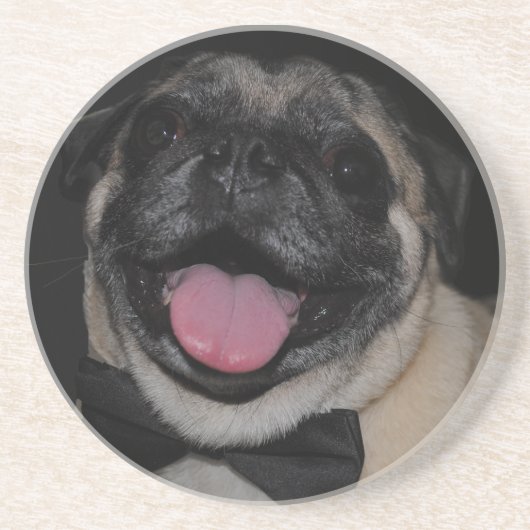 最高のコースター コースター (正面)