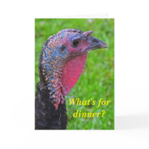 最高のトルコの日に願って、かわいい反射。