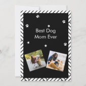 最高のドッグマムへ 母の日のグリーティングカード 招待状 (正面)