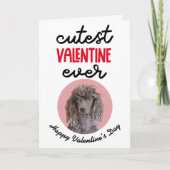 最高のバレンタインデー…あなたのプードルからカード シーズンカード (正面)