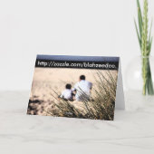 最高のパパ! カード (裏面)