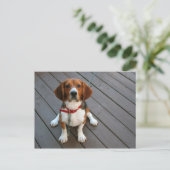最高のビーグル犬 ポストカード (スタンド正面)
