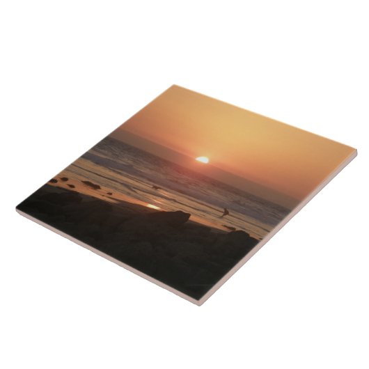 最高のビーチ タイル (側面)