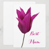 最高のピかわいらしクのチューリップシンプルフローラエレガント シーズンカード (正面/裏面)