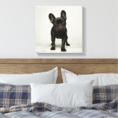 最高のフランスのブルドッグの子犬 キャンバスプリント (インサイチュ (寝室))