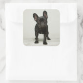 最高のフランスのブルドッグの子犬 スクエアシール (バッグ)