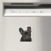 最高のフランスのブルドッグの子犬 マグネット (インサイチュ (食洗機))