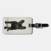 最高のフランスのブルドッグの子犬 ラゲッジタグ (正面横)