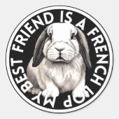 最高のフランスのLopウサギ ラウンドシール (正面)