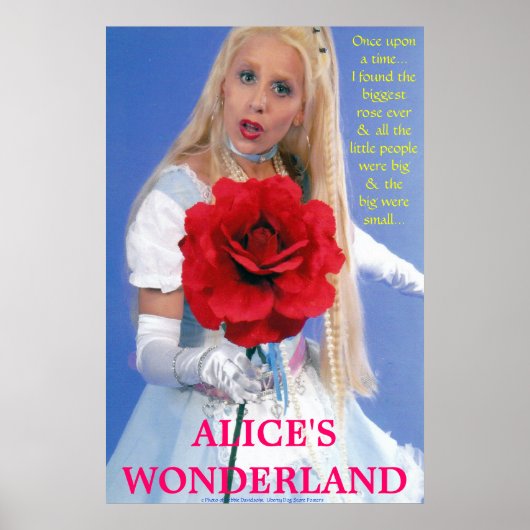 最高のポスター – ALICE IN WONDERLAND – 新しいストーリー ポスター (正面)
