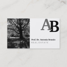 最高のポートレート