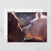 最高の友ウマ科の達 ポストカード (正面/裏面)