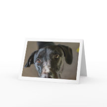 「最高の友人」の折り空白の返しグリーティングカード