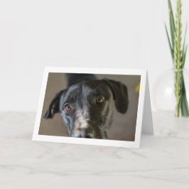 「最高の友人」の折り空白の返しグリーティングカード カード