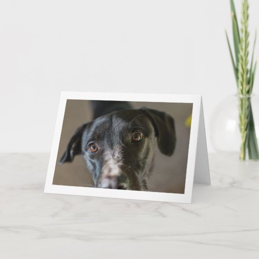 「最高の友人」の折り空白の返しグリーティングカード カード (正面)