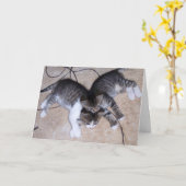 最高の友人 カード (黄色い花)