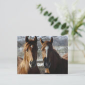 最高の友人 ポストカード (スタンド正面)