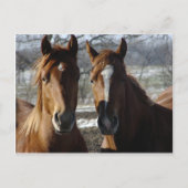 最高の友人 ポストカード (正面)