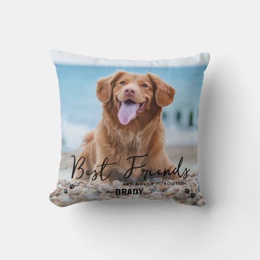 最高の友達がペットの記念忘れ写真を撮らない クッション (正面)