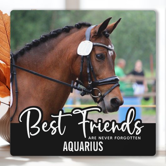 最高の友達は決して忘れ馬のペット記念 フォトプラーク