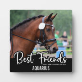 最高の友達は決して忘れ馬のペット記念 フォトプラーク (正面)