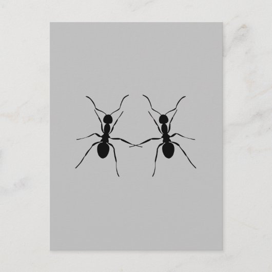 最高の友達。アリのカップル ポストカード (正面)