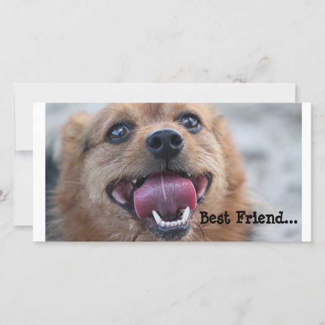 最高の友 (正面)