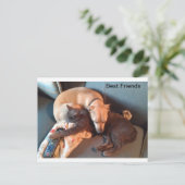 最高の友 シーズンポストカード (スタンド正面)