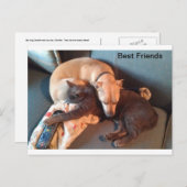 最高の友 シーズンポストカード (正面/裏面)